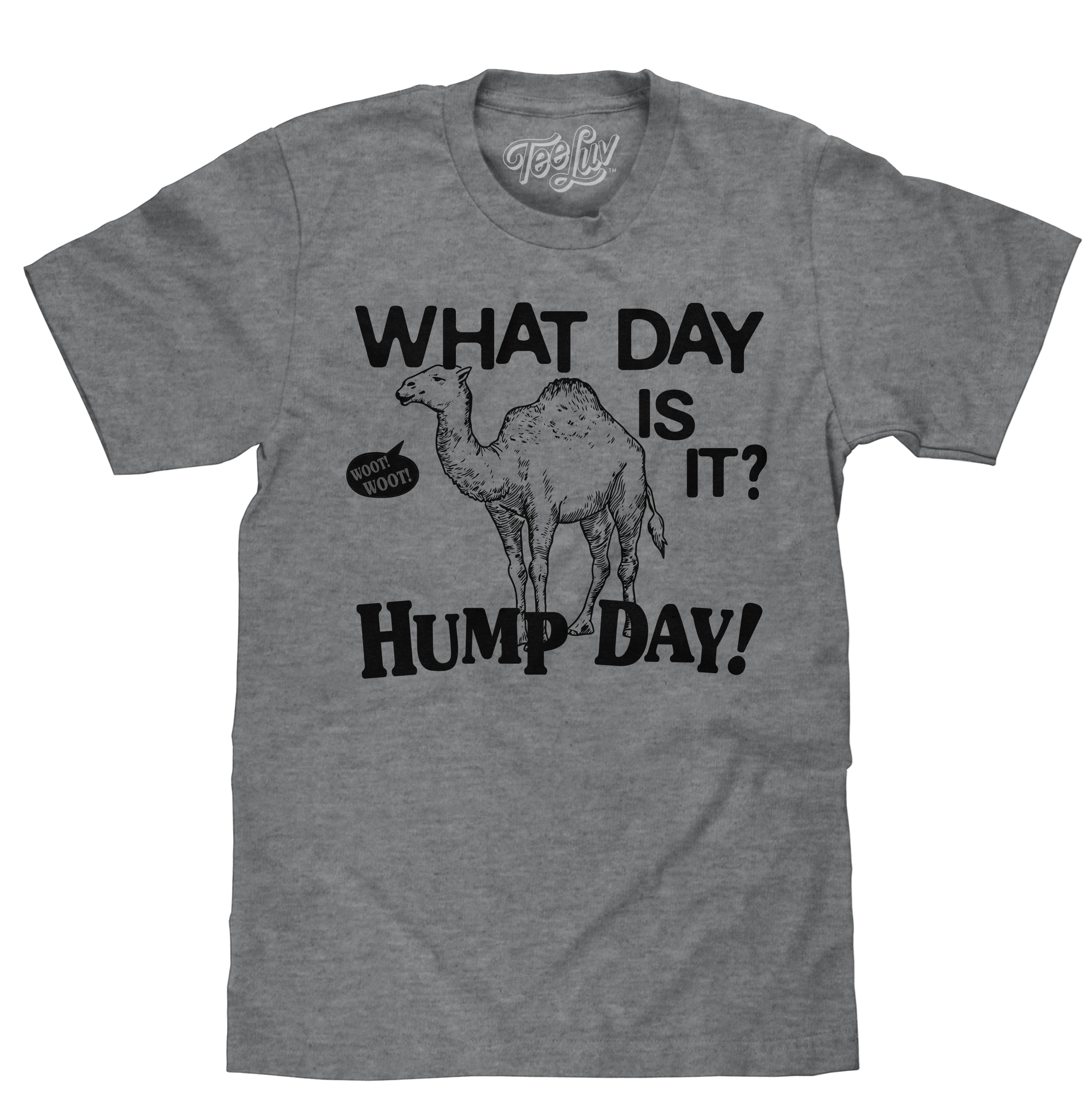 What Day Is It? Hump Day Camel T-Shirt - Gray