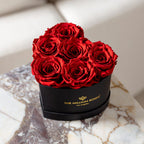 Baby Heart Black Box with Red Preserved Roses | Mini Luxury Rose Gift for Valentine’s Day & Anniversaries